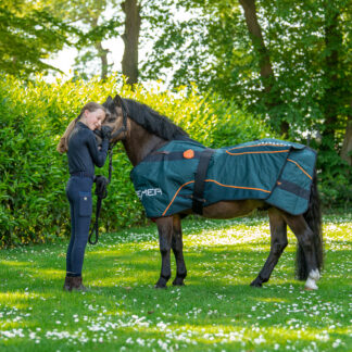 BEMER Horse Set