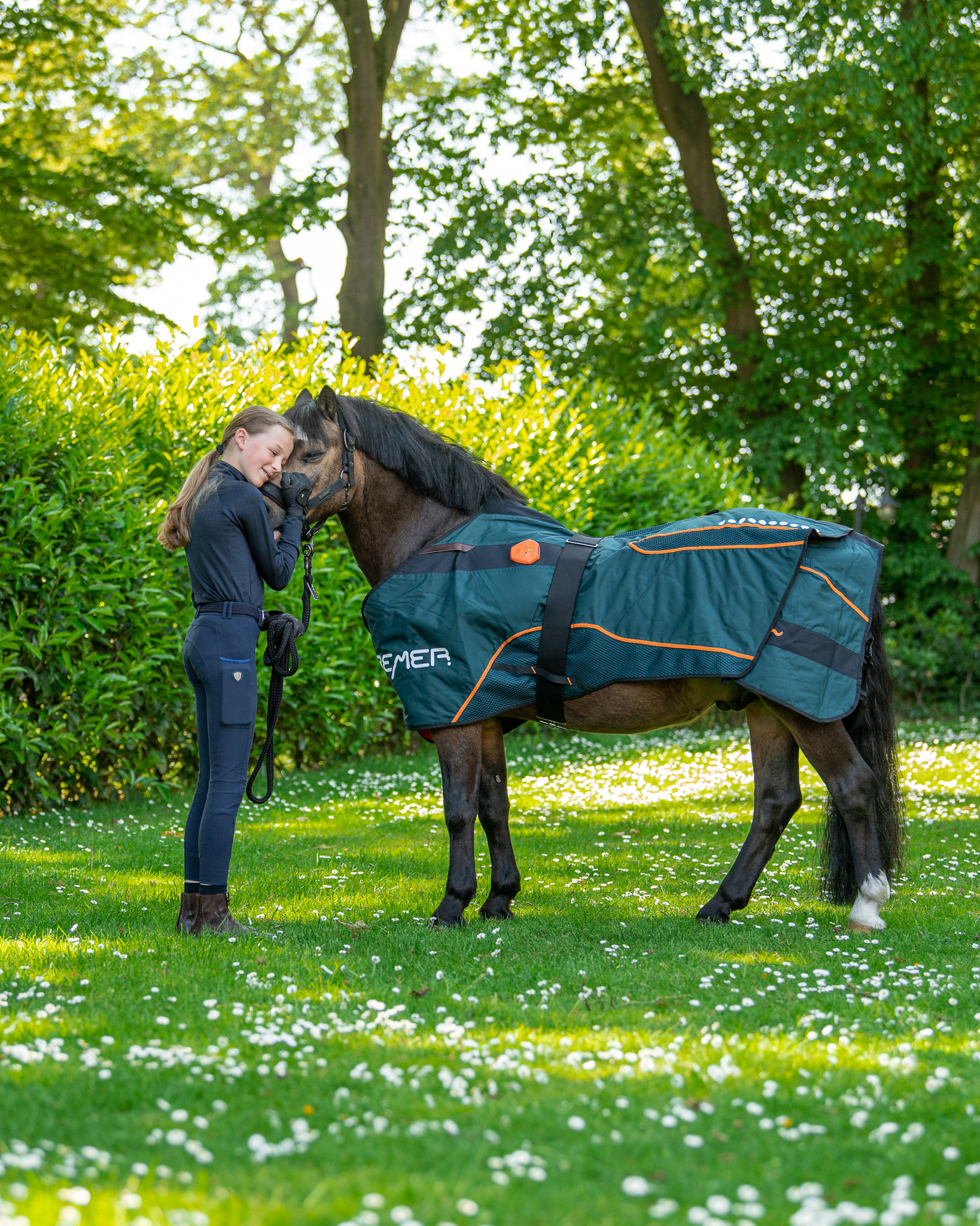 BEMER Horse Set