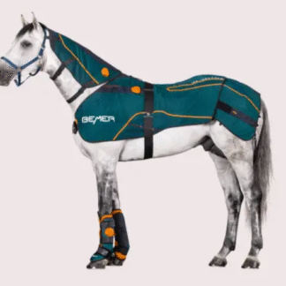 BEMER Horse Premium - Set am weißen Pferd - grüne BEMER Pferdedecke, der BEMER Hals-Applikator und die BEMER Gamaschen für professionelle Pferdetherapie