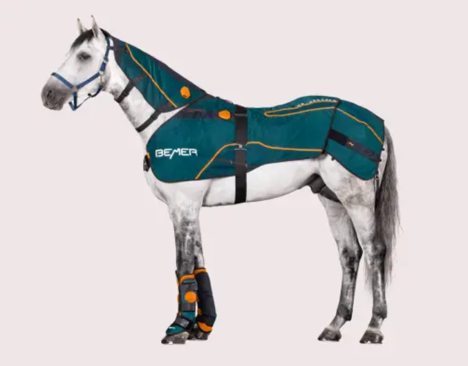 BEMER Horse-Set am weißen Pferd - grüne BEMER Pferdedecke, der BEMER Hals-Applikator und die BEMER Gamaschen für professionelle Pferdetherapie