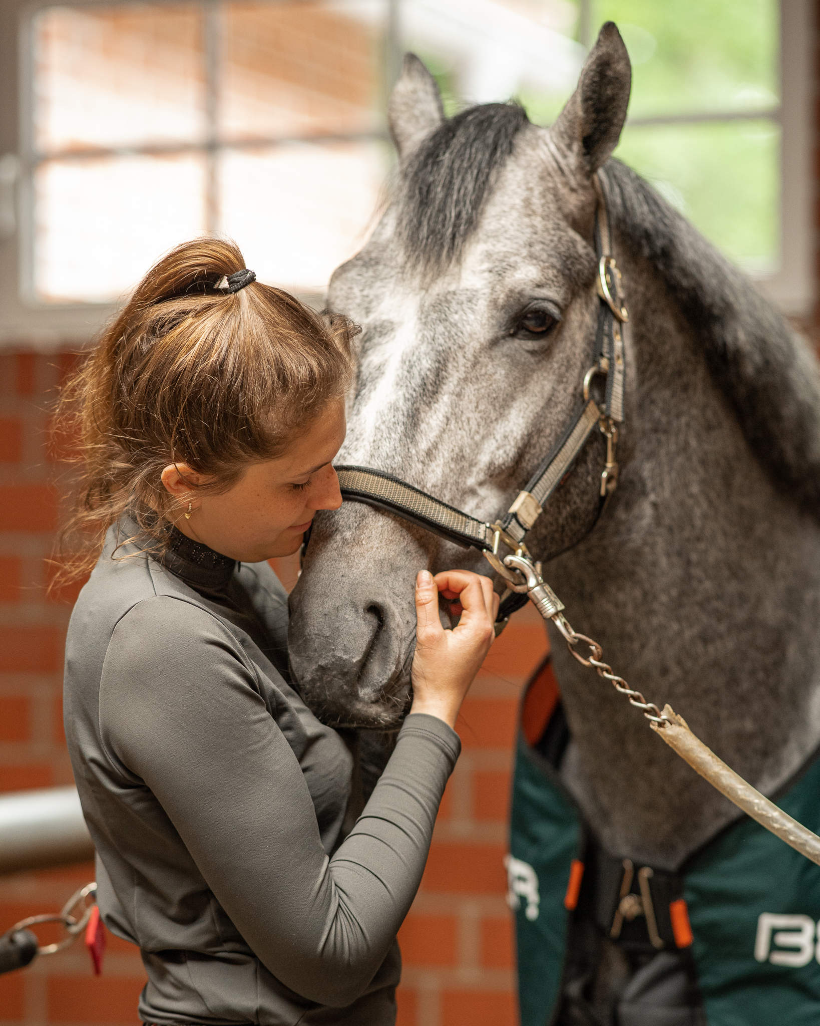 BEMER Horse Set Regeneration - Reiterin mit entspanntem Pferd nach BEMER Anwendung